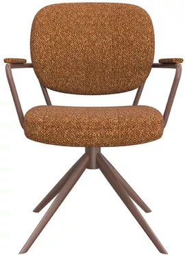 Image without description