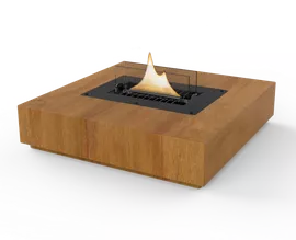 Image without description