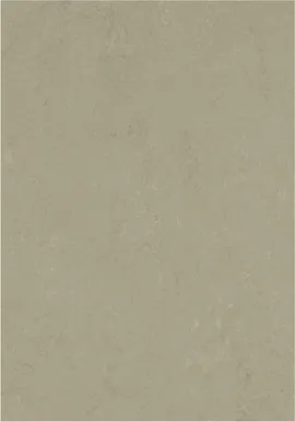 Image without description