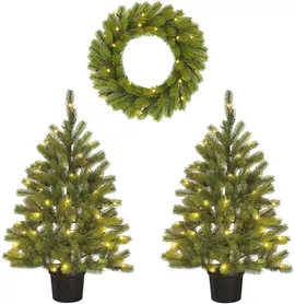 Image without description