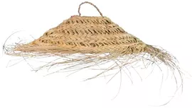 Image without description