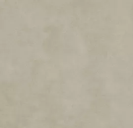 Image without description