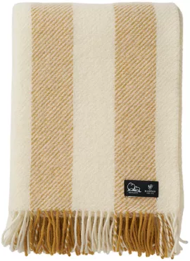 Image without description