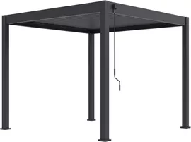 Image without description