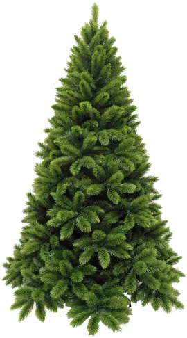 Image without description