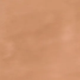 Image without description