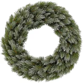 Image without description