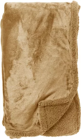 Image without description