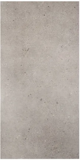 Image without description