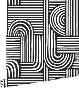 Image without description