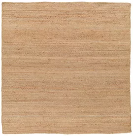 Image without description