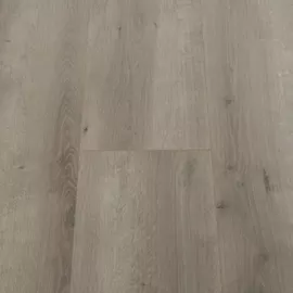 Image without description