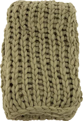 Image without description