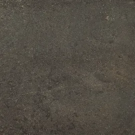 Image without description