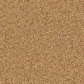 Image without description