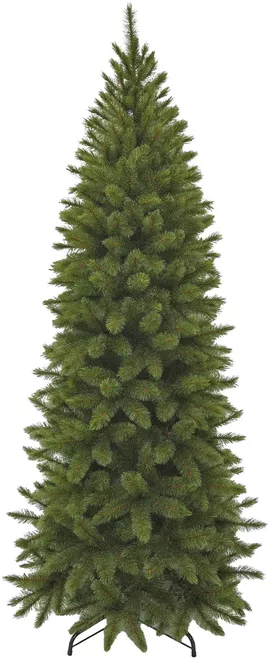 Image without description