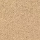 Image without description