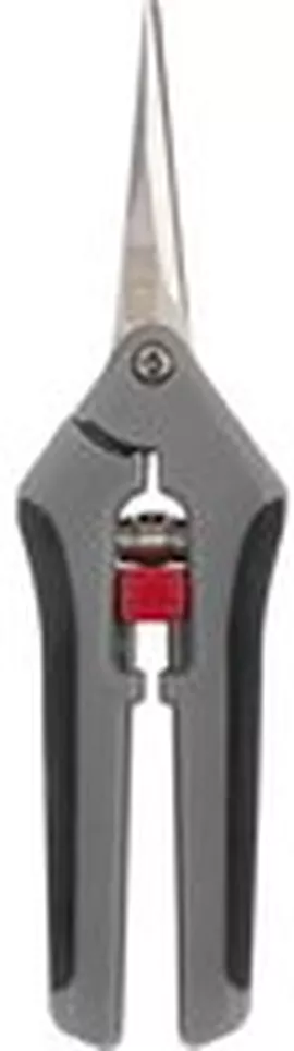 Image without description