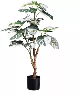 Image without description