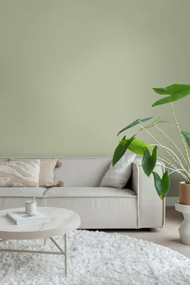 Image without description