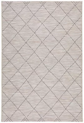 Image without description