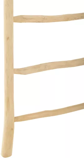 Image without description