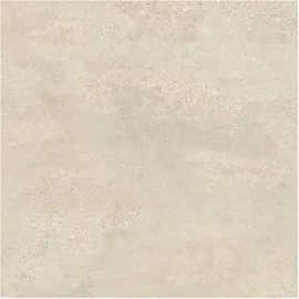 Image without description