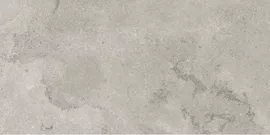 Image without description