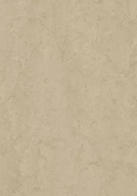 Image without description