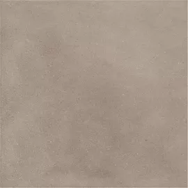 Image without description