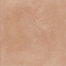 Image without description