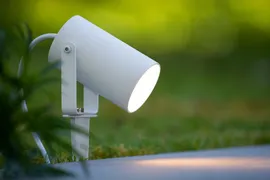 Image without description