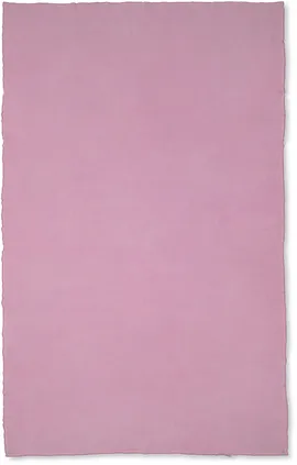 Image without description