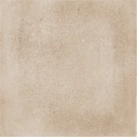 Image without description