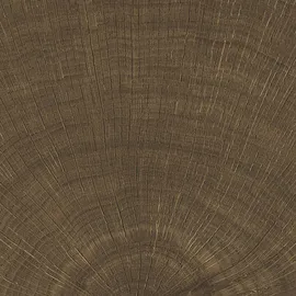 Image without description