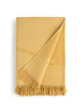 Image without description