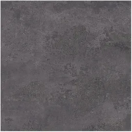 Image without description