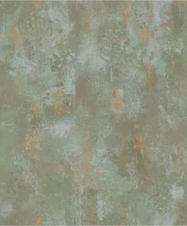 Image without description