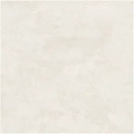 Image without description
