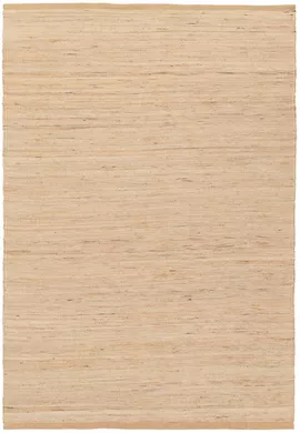 Image without description