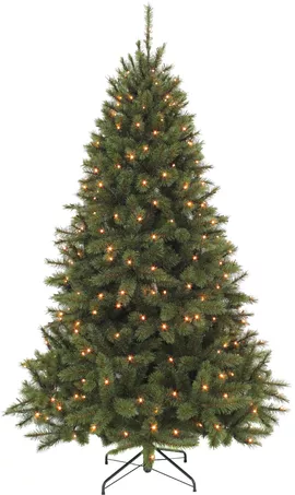 Image without description