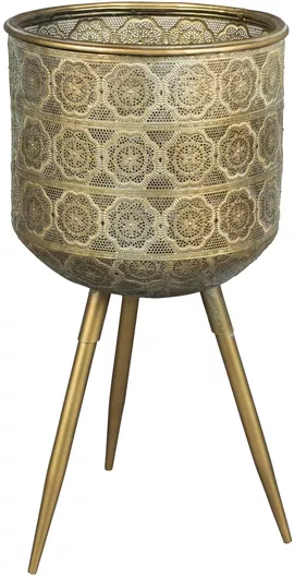 Image without description