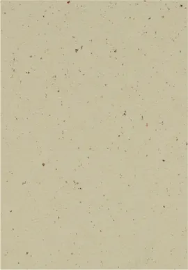 Image without description