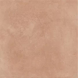 Image without description