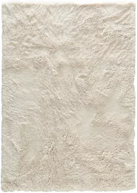 Image without description