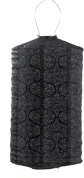 Image without description