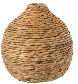 Image without description