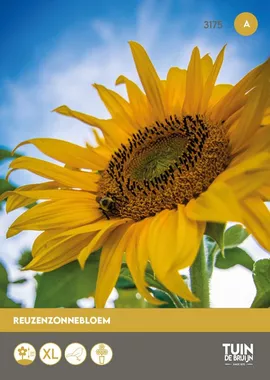 Image without description