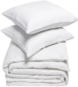 Image without description