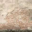 Image without description